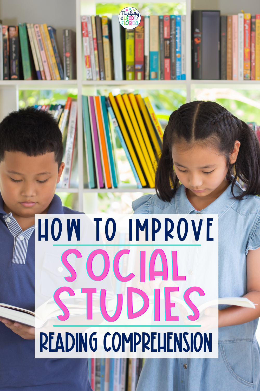 Reading Comprehension Social Studies Pin